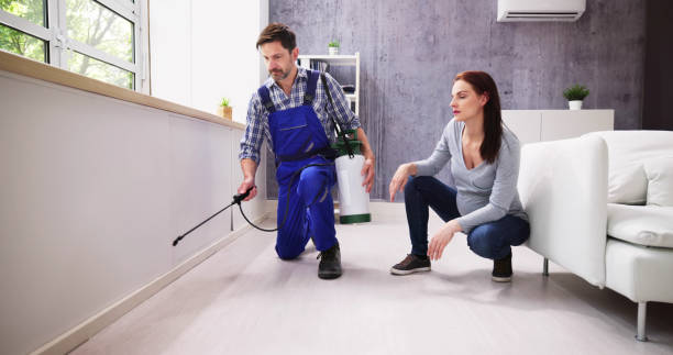 Best Pest Prevention Services  in Big Rapids, MI